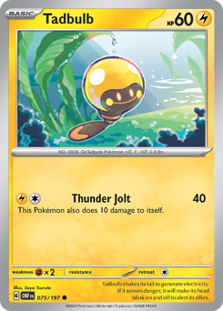 Tadbulb (OBF 75/197)