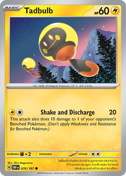 Tadbulb (OBF 76/197)