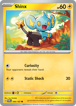 Shinx (TWM 66/167)