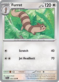 Furret (JTG 119/159)