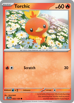 Torchic (JTG 22/159)