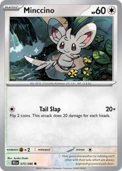 Minccino (BLK 75/86)